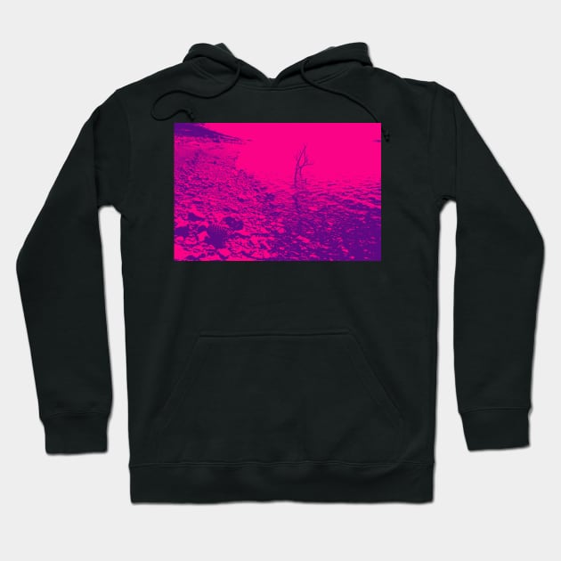 stony lake edge with pine cone and stick in water pink gradient water Hoodie by brians101